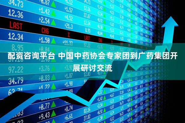 配资咨询平台 中国中药协会专家团到广药集团开展研讨交流