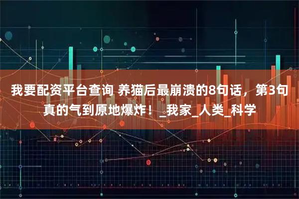 我要配资平台查询 养猫后最崩溃的8句话，第3句真的气到原地爆炸！_我家_人类_科学