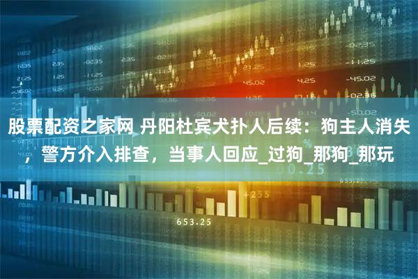 股票配资之家网 丹阳杜宾犬扑人后续：狗主人消失，警方介入排查，当事人回应_过狗_那狗_那玩