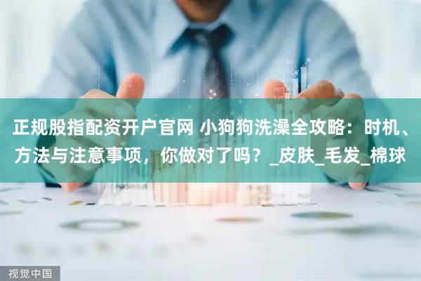 正规股指配资开户官网 小狗狗洗澡全攻略：时机、方法与注意事项，你做对了吗？_皮肤_毛发_棉球